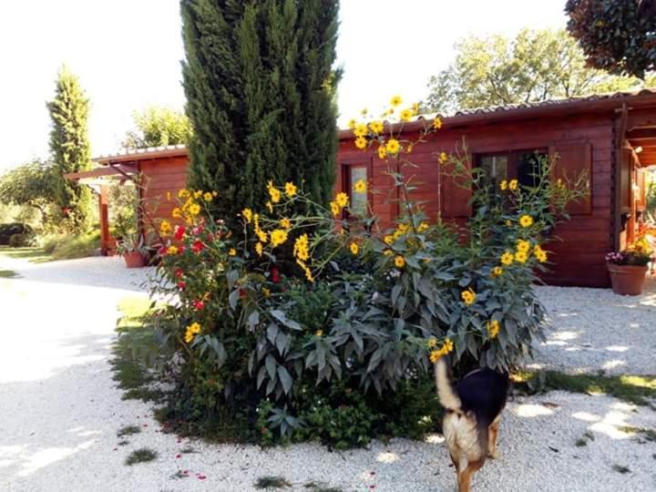 Hotel Il Casale Di Rosaria Zagarolo Zewnętrze zdjęcie